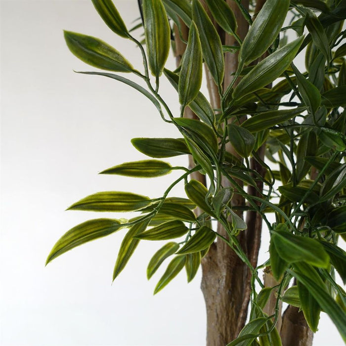 Premium Quality 140cm UV Resistant Ruscus Tree with 2716 Lush Leaves - Perfect for Indoor & Outdoor Use!