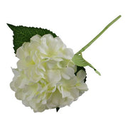 https://images.avasam.com/?url=https://avasamnew.s3.amazonaws.com/live/GB010082/S0671124237_13.jpg&w=500