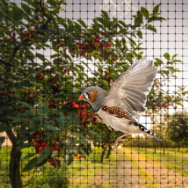 Anti Bird Garden Netting Pond Net Protection Plants Veg Crops Fruit Fine Mesh 2M X 10M