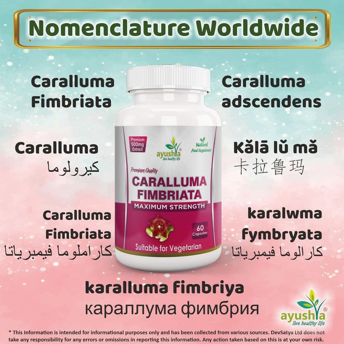 Caralluma Fimbriata Capsule - Natural Appetite Suppressant for Weight Loss, Enhanced Endurance - High Quality