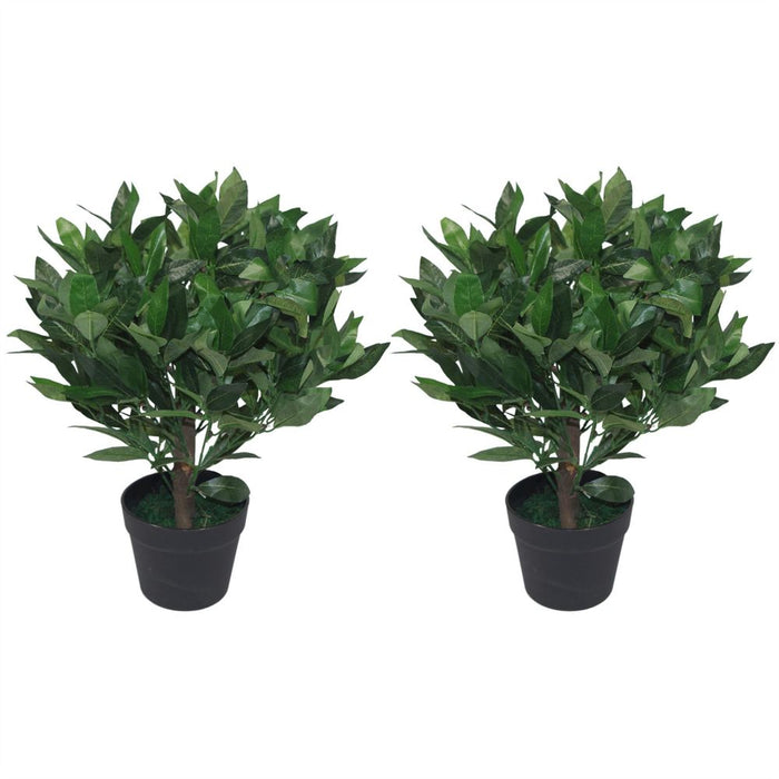 Realistic 50cm Dwarf Artificial Bay Trees Laurel Topiary - Set of 2. Low Maintenance & High Quality.