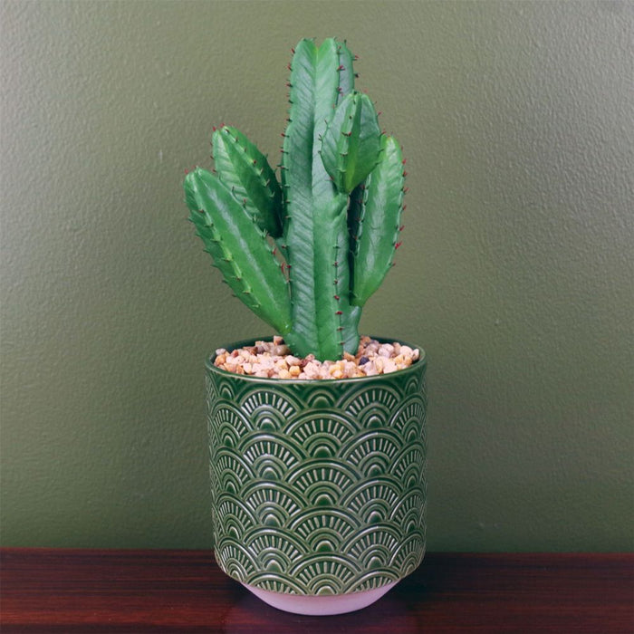 Premium 23cm Artificial Cactus in Green Ceramic Planter