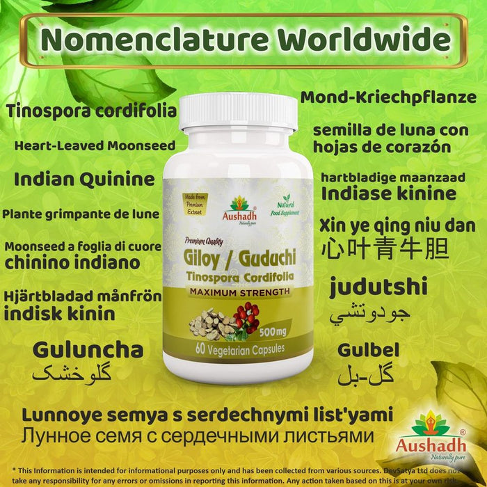 Pure and Potent Giloy Guduchi Capsule (Tinospora Cordifolia)