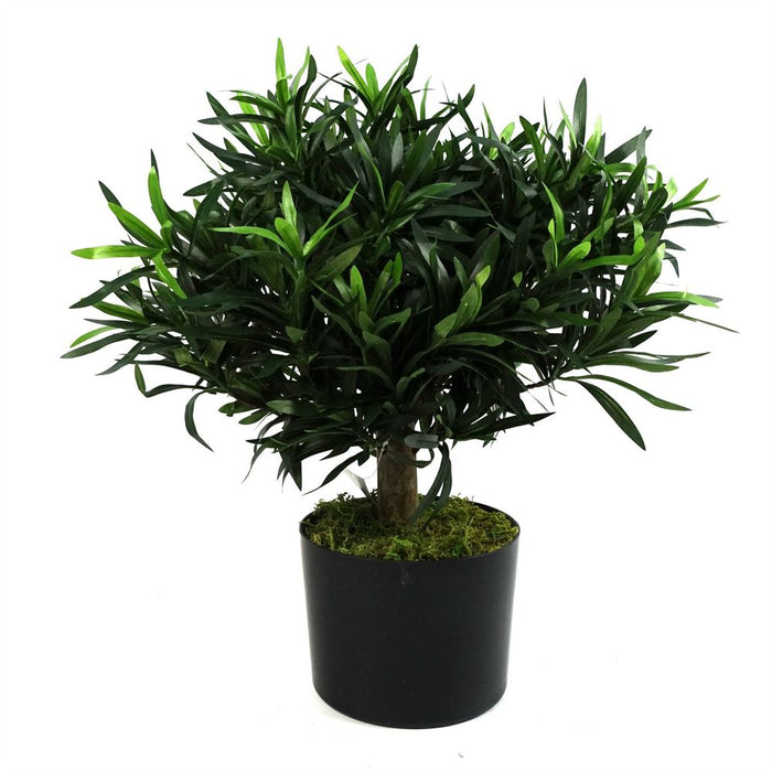 Premium 40cm Podocarpus Bush: Best Quality + Natural Trunk + Silk Leaves + Wired Branches