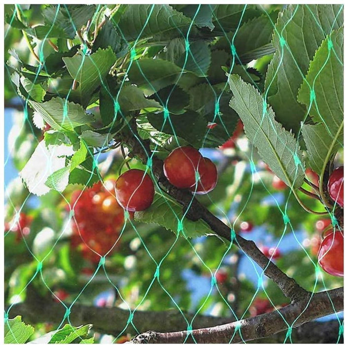 Garden Netting - Protect Your Plants & Fruits - 4x10m Pack