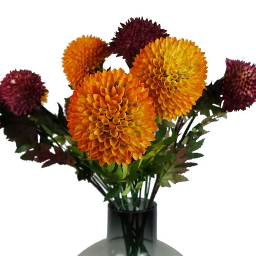 https://images.avasam.com/?url=https://avasamnew.s3.amazonaws.com/product/GB010188/S0671589111/1.png&w=500