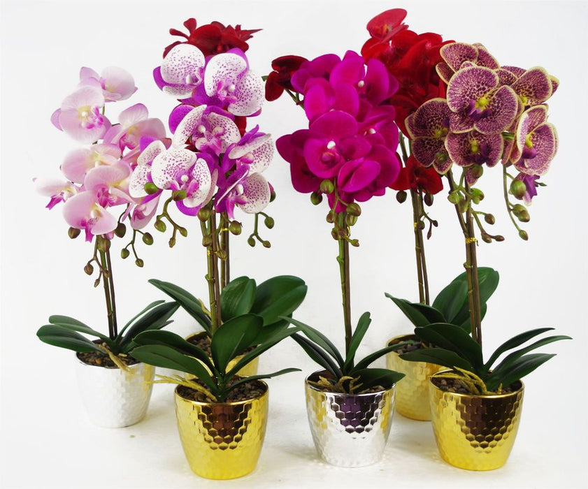 50cm Phalaenopsis Orchid Artificial - Red Leopard - Gold Pot