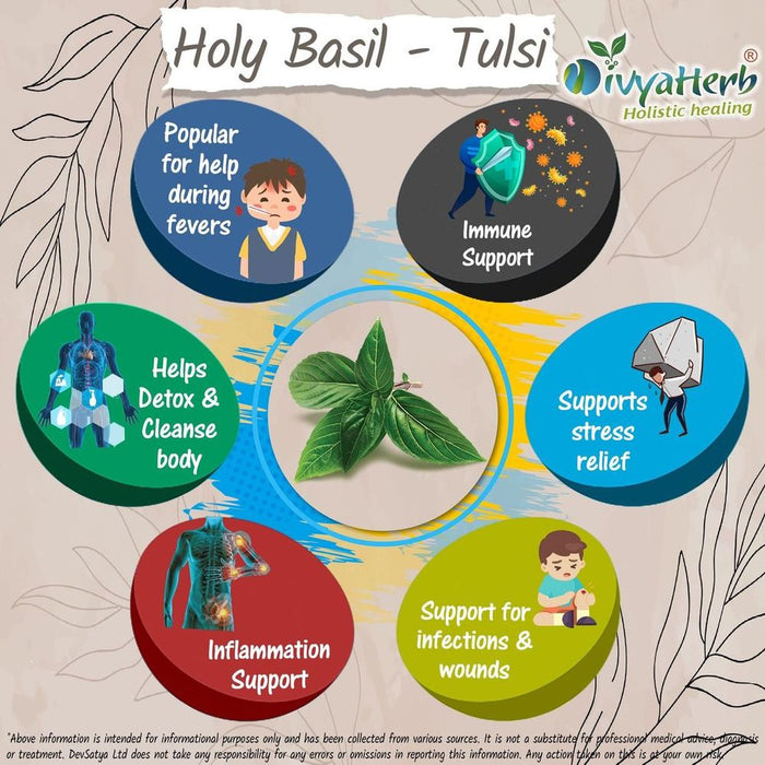 Holy Basil (Tulsi) Powder - Best Quality, Professional Seller - Buy with Confidence!