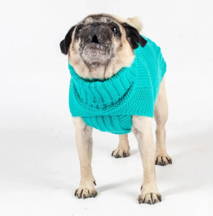 The Jazz Dog Jumper in Peacock Blue