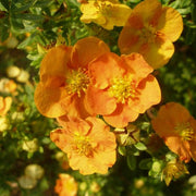 https://images.avasam.com/?url=https://avasamnew.s3.amazonaws.com/live//Shutterstock_1584659542.jpg&w=500