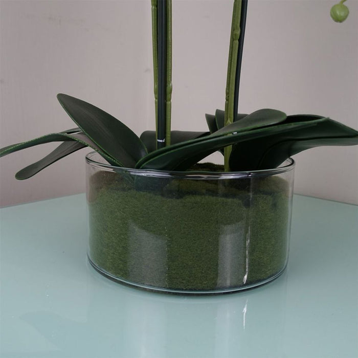 50cm Artificial Orchid with Glass Planter White