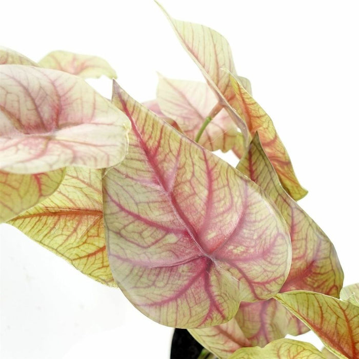 Premium Quality 30cm Artificial Pink Caladium Trailing Plant - Realistic Faux Plant for Home Decor