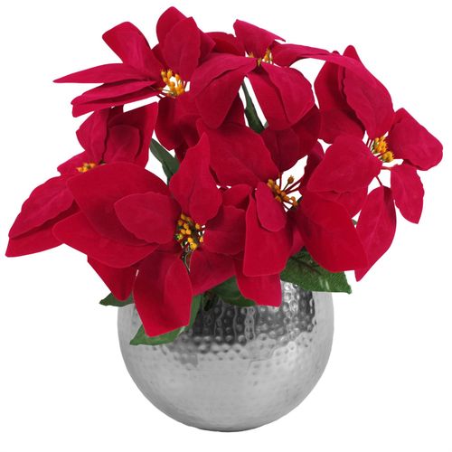 https://images.avasam.com/?url=https://avasamnew.s3.amazonaws.com/live/GB010188/S0671349152_0.jpg&w=500