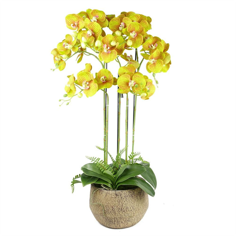 Botanik - 80cm Large Orchid Lime Yellow Artificial - 41 Real Touch Flowers - High-Quality Craftsmanship