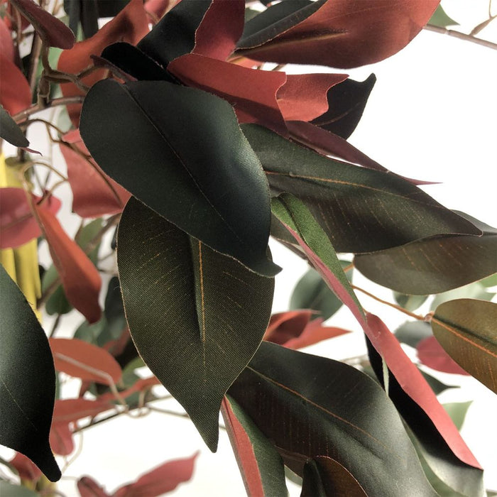 Premium 120cm Dark Red Green Ficus Plant - XL Size, Realistic Detail - Trusted Seller