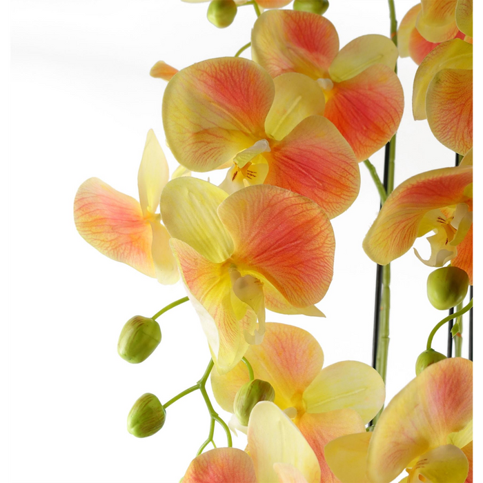 110cm Large Yellow Peach Orchid Plant - 41 REAL TOUCH Flowers