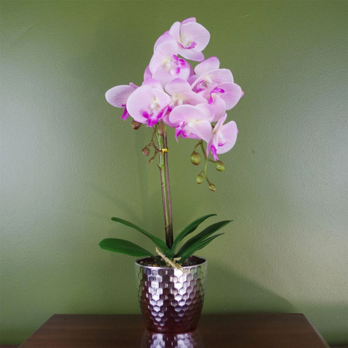 Premium 50cm Phalaenopsis Orchid Artificial - Light Pink Silver. Real touch leaves. Plastic decorative pot with fixed gravel topping.