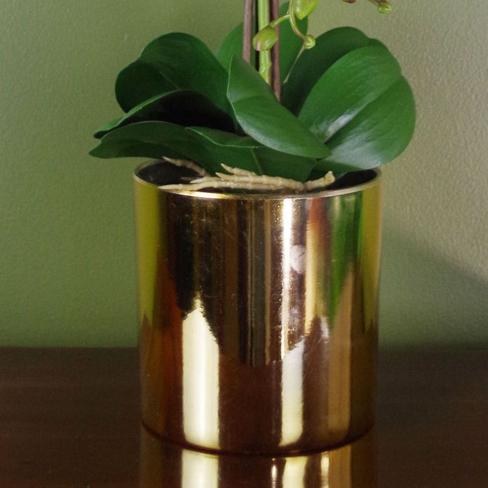 Realistic 52cm White & Gold Artificial Orchid - Lifelike Flowers - Decorative Pot - Professional Quality