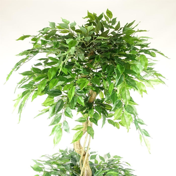 180cm Artificial Twisted Trunk Fruticosa Ficus Tree Triple Ball Topiary 1984 Leaves