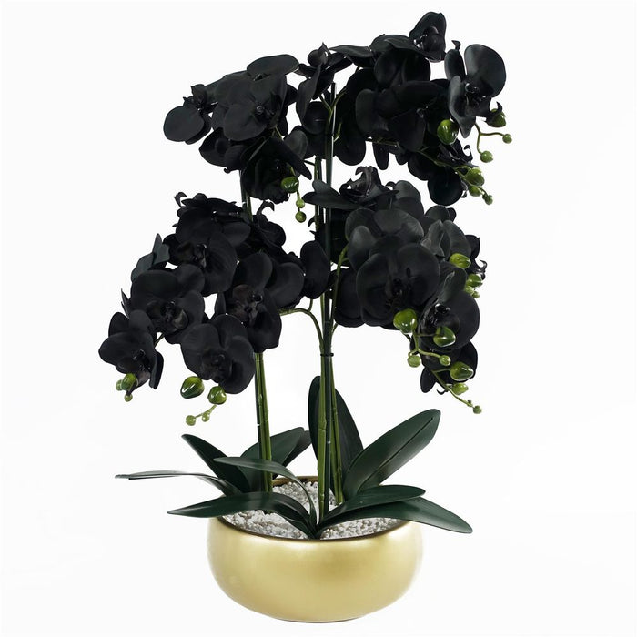 High-Quality 60cm Orchid Artificial in Black-Gold Ceramic Planter