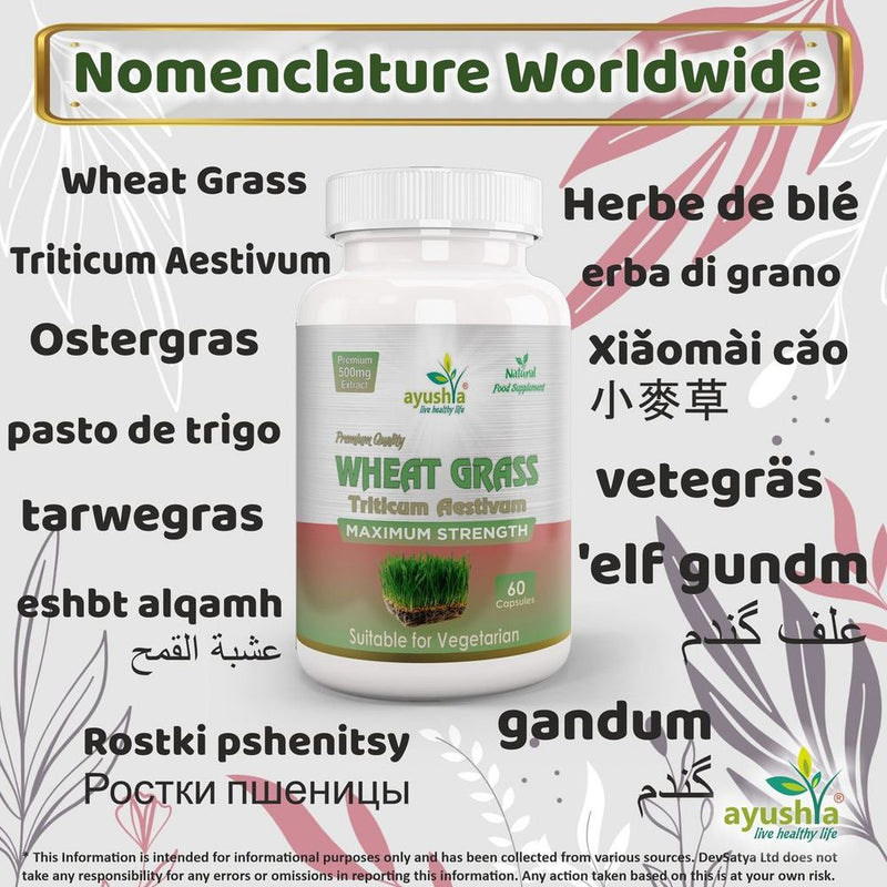 All-Natural Wheat Grass Capsules: Boost Energy & Detoxify - High Quality & Potent Formula - Trusted by Professionals & Loved by Customers