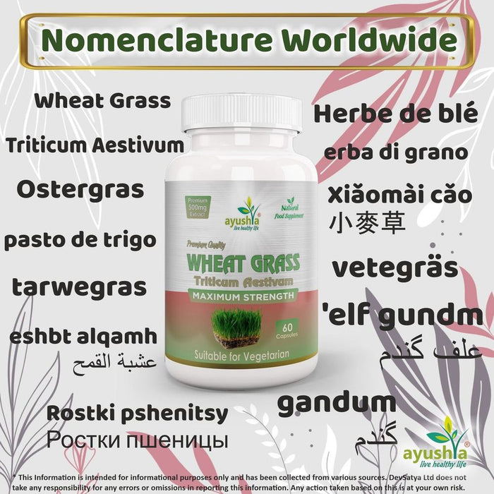 All-Natural Wheat Grass Capsules: Boost Energy & Detoxify - High Quality & Potent Formula - Trusted by Professionals & Loved by Customers