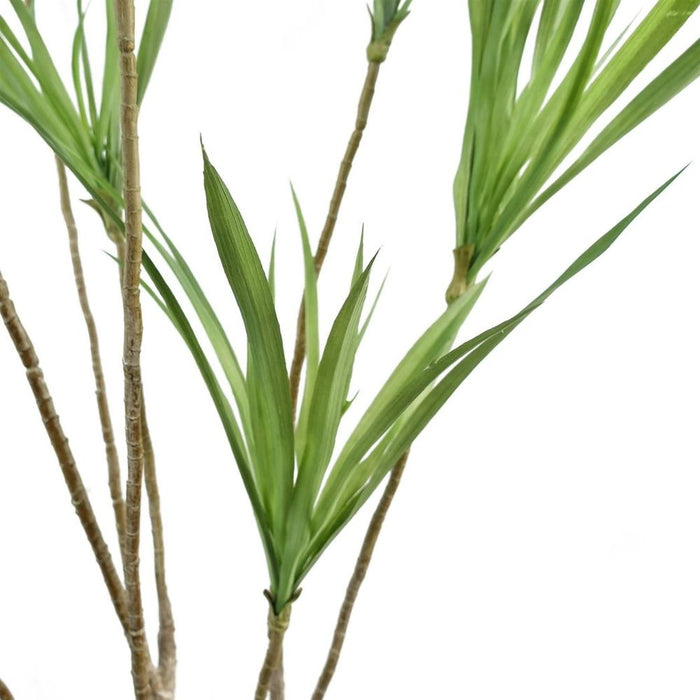 Realistic 125cm Dragon Tree Dracaena Plant - High Quality Artificial - Perfect for Any Space - Professional Seller