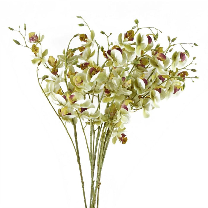 Pack of 6 x 80cm Cream Artificial Mini Orchid Stem