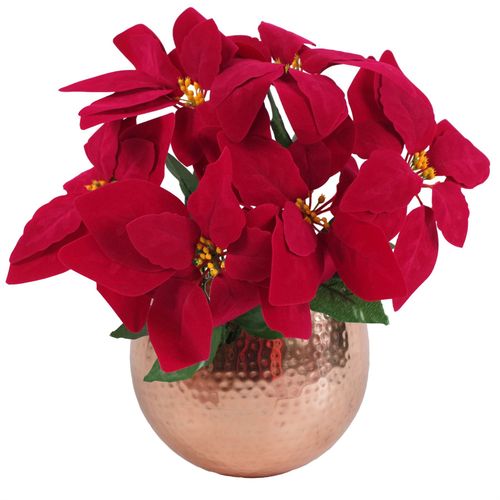 https://images.avasam.com/?url=https://avasamnew.s3.amazonaws.com/live/GB010188/S0671349153_0.jpg&w=500