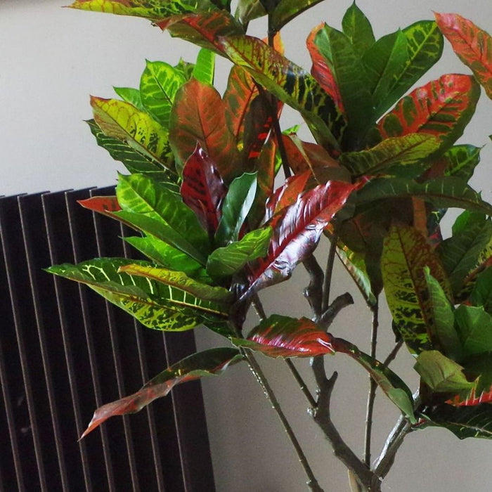 Stunning 130cm Artificial Codiaeum Multicoloured Tree - Realistic and Low-Maintenance Indoor Decoration (Plastic Pot Included)