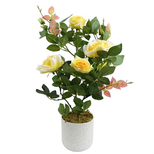 https://images.avasam.com/?url=https://avasamnew.s3.amazonaws.com/product/GB010188/S0671599759/main.png&w=500