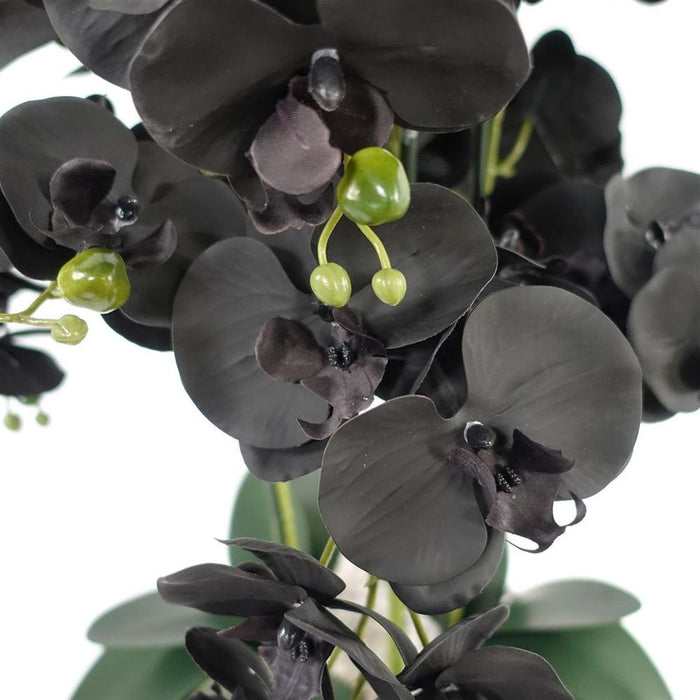 High-Quality 60cm Orchid Artificial in Black-Gold Ceramic Planter