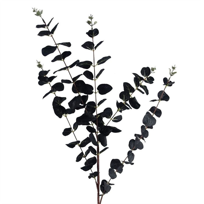 Premium Quality 80cm Black Eucalyptus Foliage Stems - Pack of 6