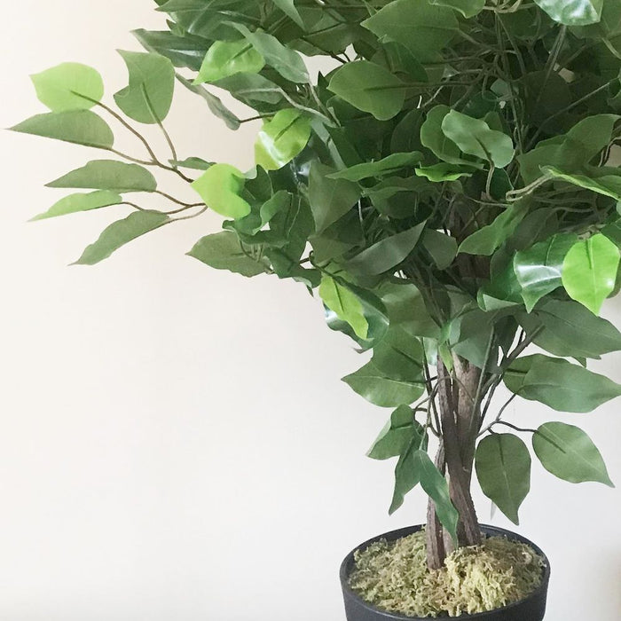 Premium 60cm Artificial Ficus Tree - Realistic Shape, Multiple Colors