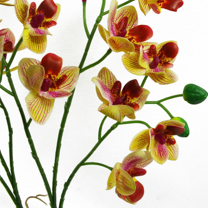 Premium Quality 43cm Pink Yellow Artificial Orchid in Ceramic Planter