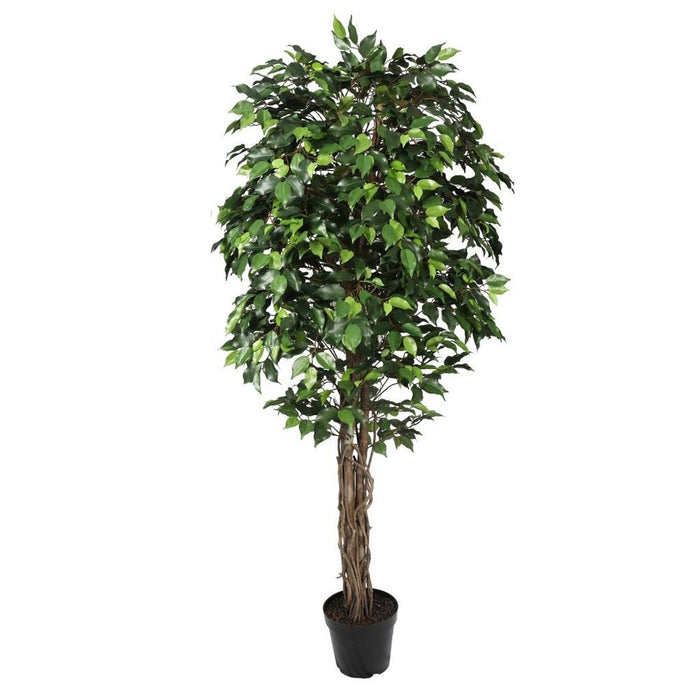 Captivating Artificial Ficus Tree: Green, Twisted Trunk, 6.2ft/190cm