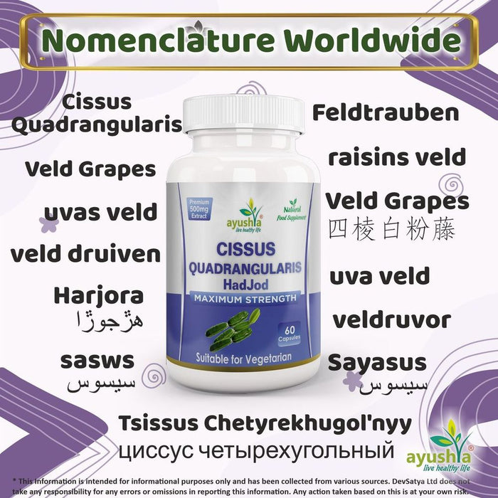 Cissus Quadrangularis Capsule - Buy the Best Quality HadJod