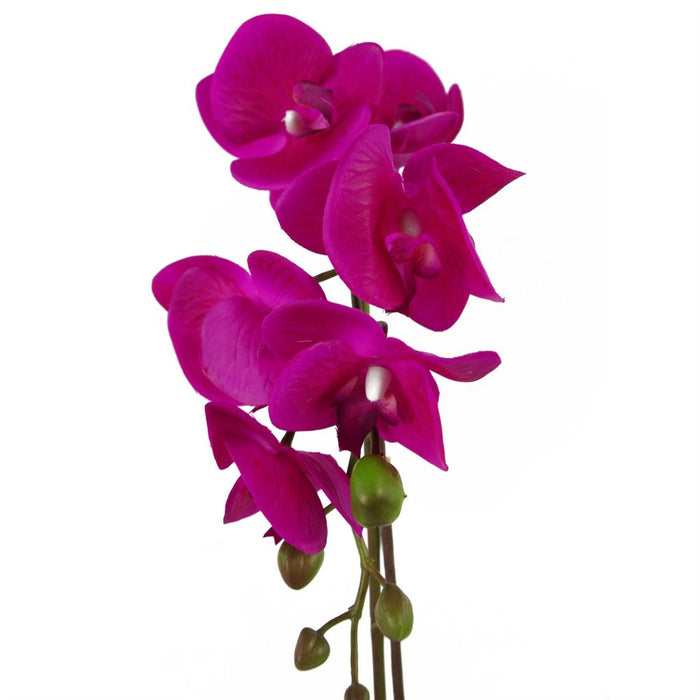 46cm Artificial Orchid Dark Pink / Gold