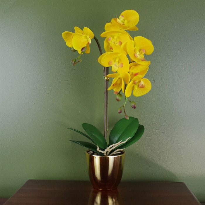 Premium Orchid: 48cm Golden Yellow, Real Touch, Gold Pot