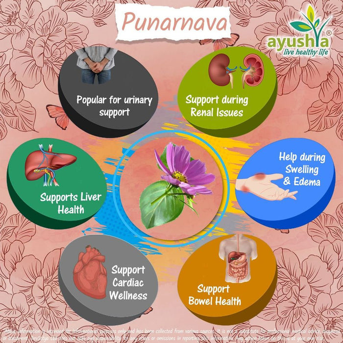 Punarnava Capsule (Boerhavia Diffusa) - Rejuvenate with this Potent Ayurvedic Herb - High Quality & All-Natural