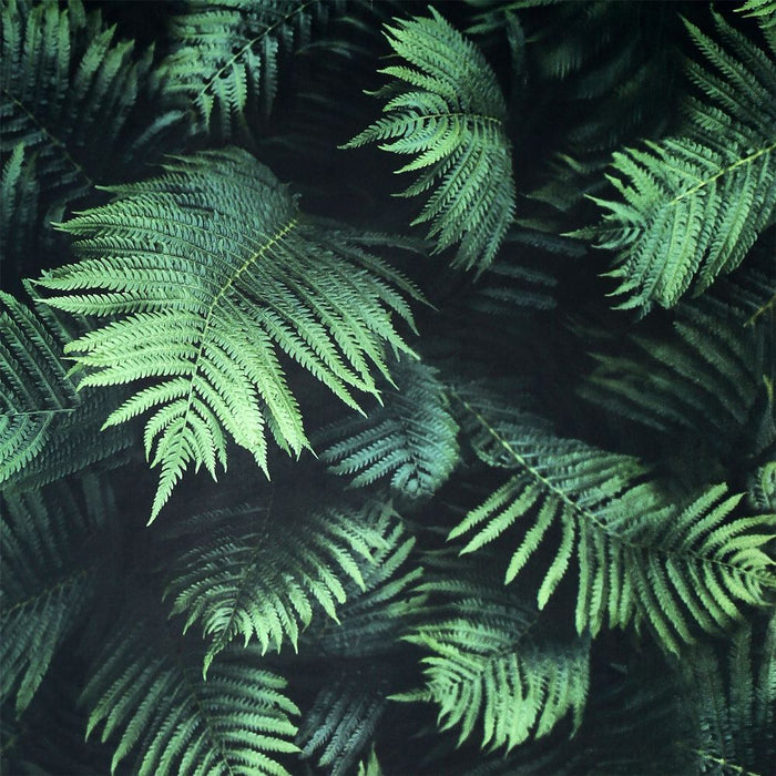 Fern Wall Green - High Quality Home Decor