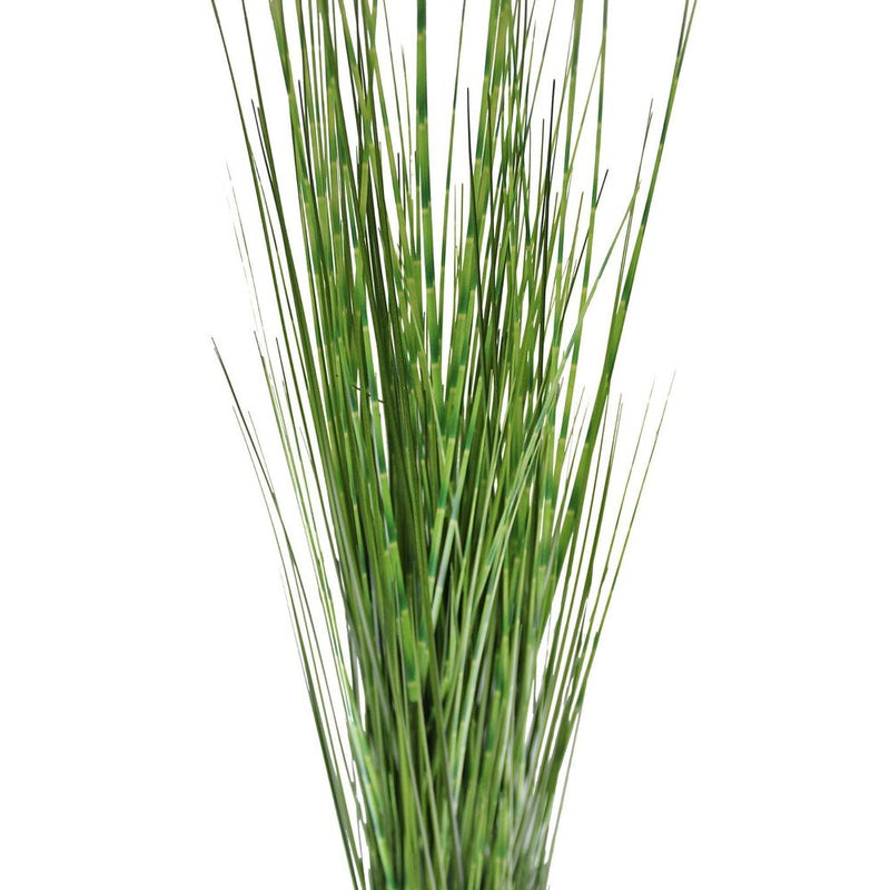 Premium Quality Large Bamboo Spray, 116cm