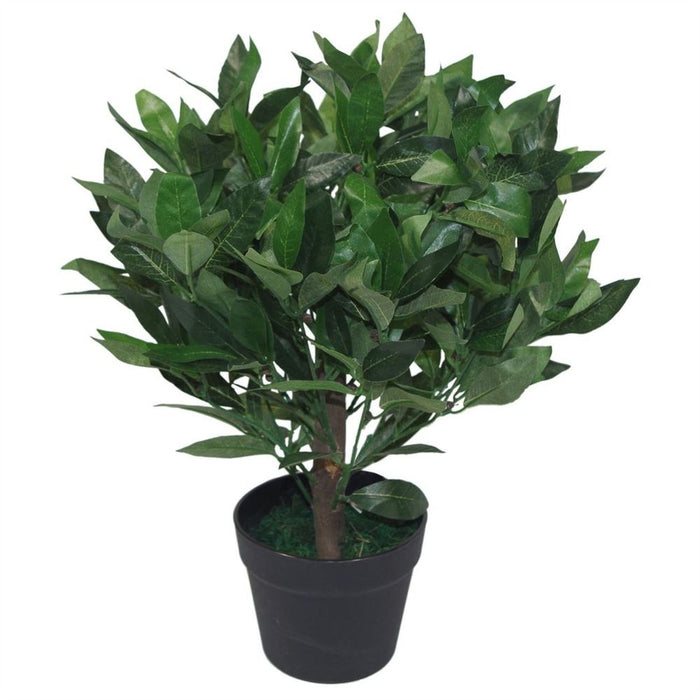 Realistic 50cm Dwarf Artificial Bay Trees Laurel Topiary - Set of 2. Low Maintenance & High Quality.