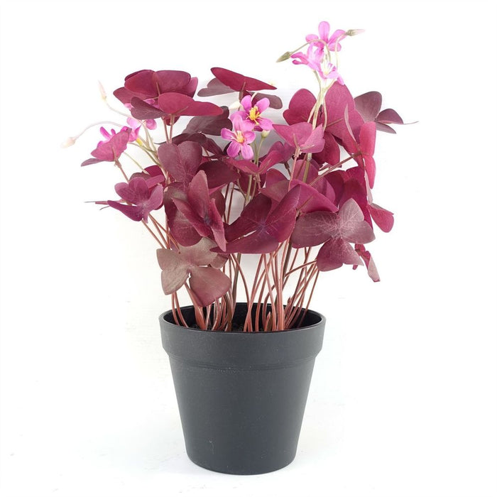 Realistic Purple Shamrock Pink Flowers Potted - High Quality Artificial Plant - 30cm Height