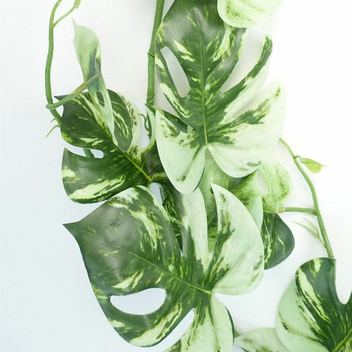 180cm Artificial Trailing Hanging Variegated Monstera Plant Realistic