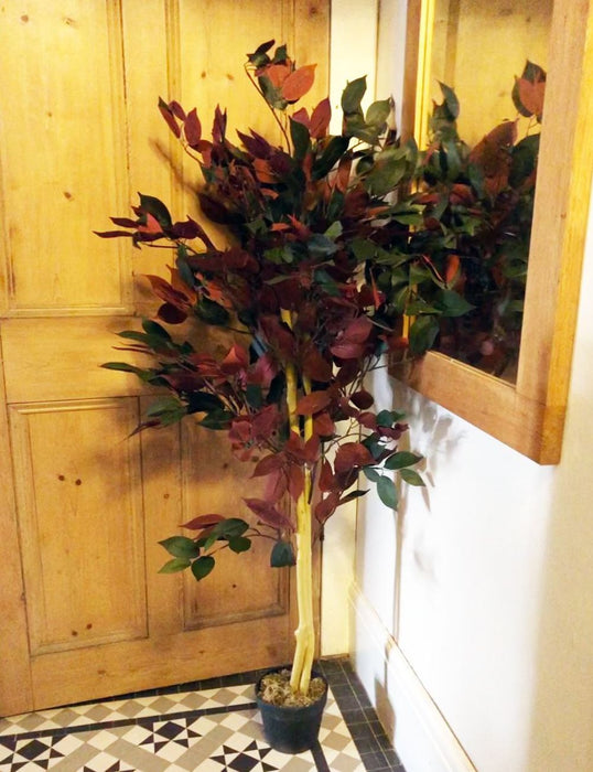 Premium 120cm Dark Red Green Ficus Plant - XL Size, Realistic Detail - Trusted Seller