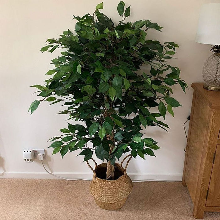 Realistic 120cm Ficus Tree - Botanically Accurate Artificial Plant