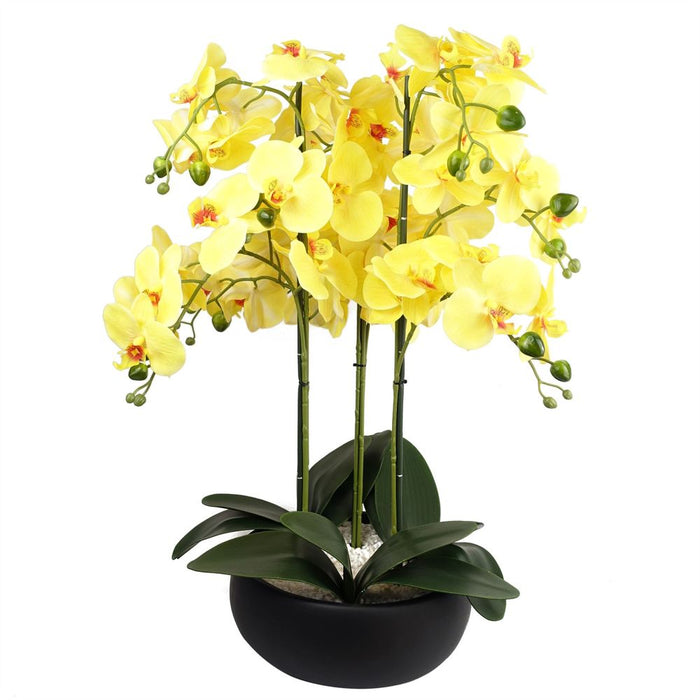 Artificial Yellow Orchid in Black Ceramic Planter - 60cm