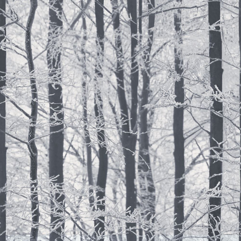 Premium Frosted Wood Silver SW12 - Impeccable Quality!