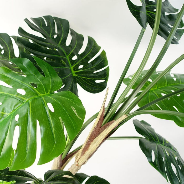 Luxury 150cm (5ft) Monstera Cheese Plant - Realistic, High Quality"
Description: "Experience the luxury of a realistic, high quality 150cm Monstera Cheese Plant. Comes potted in a sleek black pot. Perfect addition to any space.